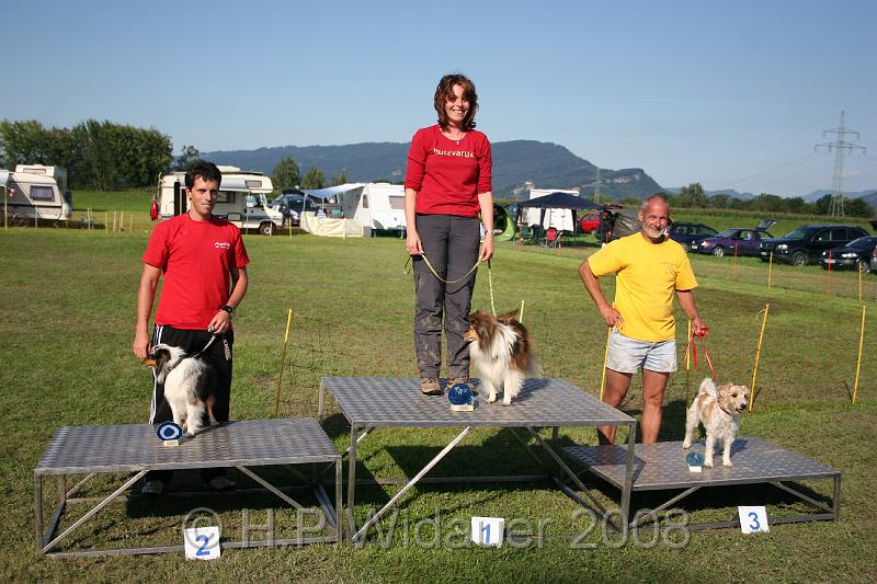 jubil.lusten. 361.jpg